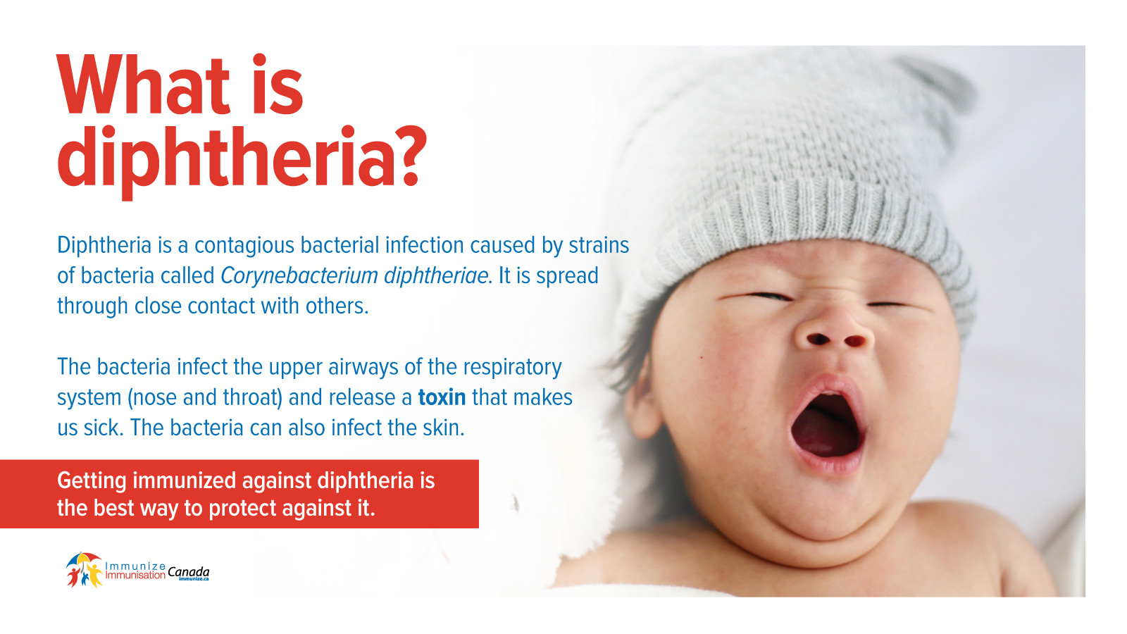 What is diphtheria? - image for Twitter and Facebook