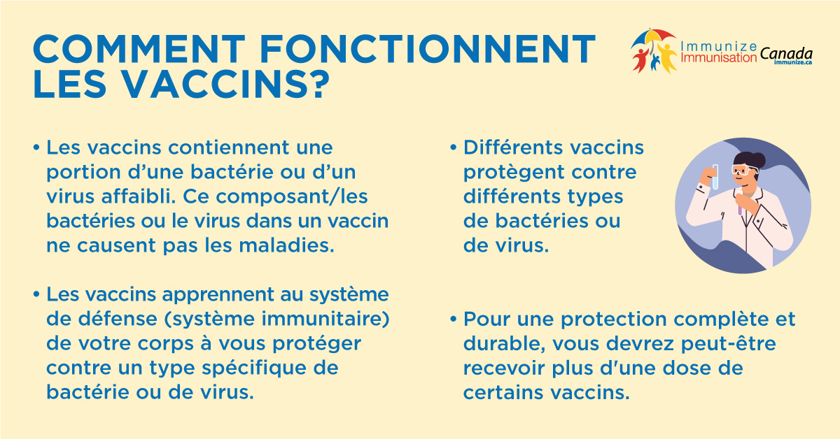 Comment fonctionnent les vaccins? - image pour Facebook