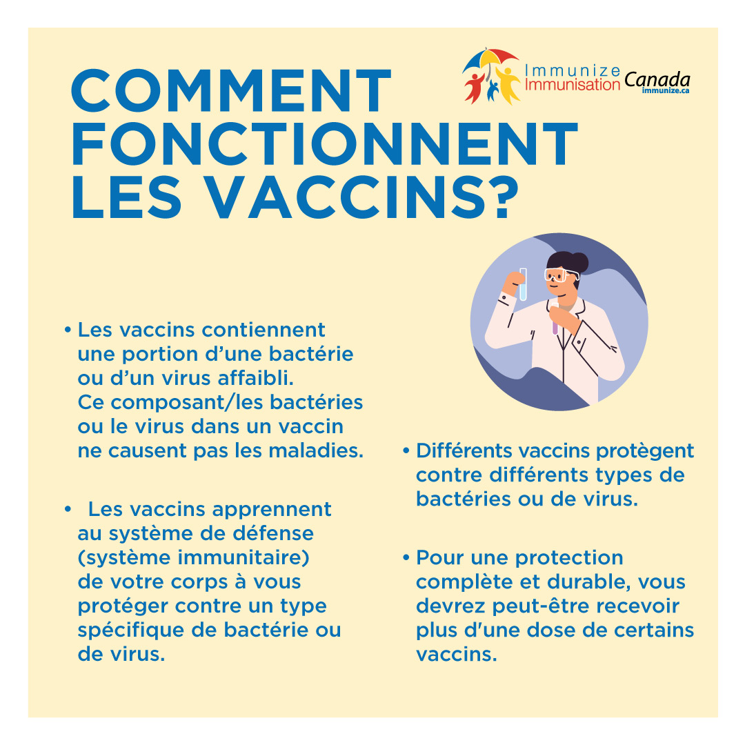 Comment fonctionnent les vaccins? - image pour Instagram