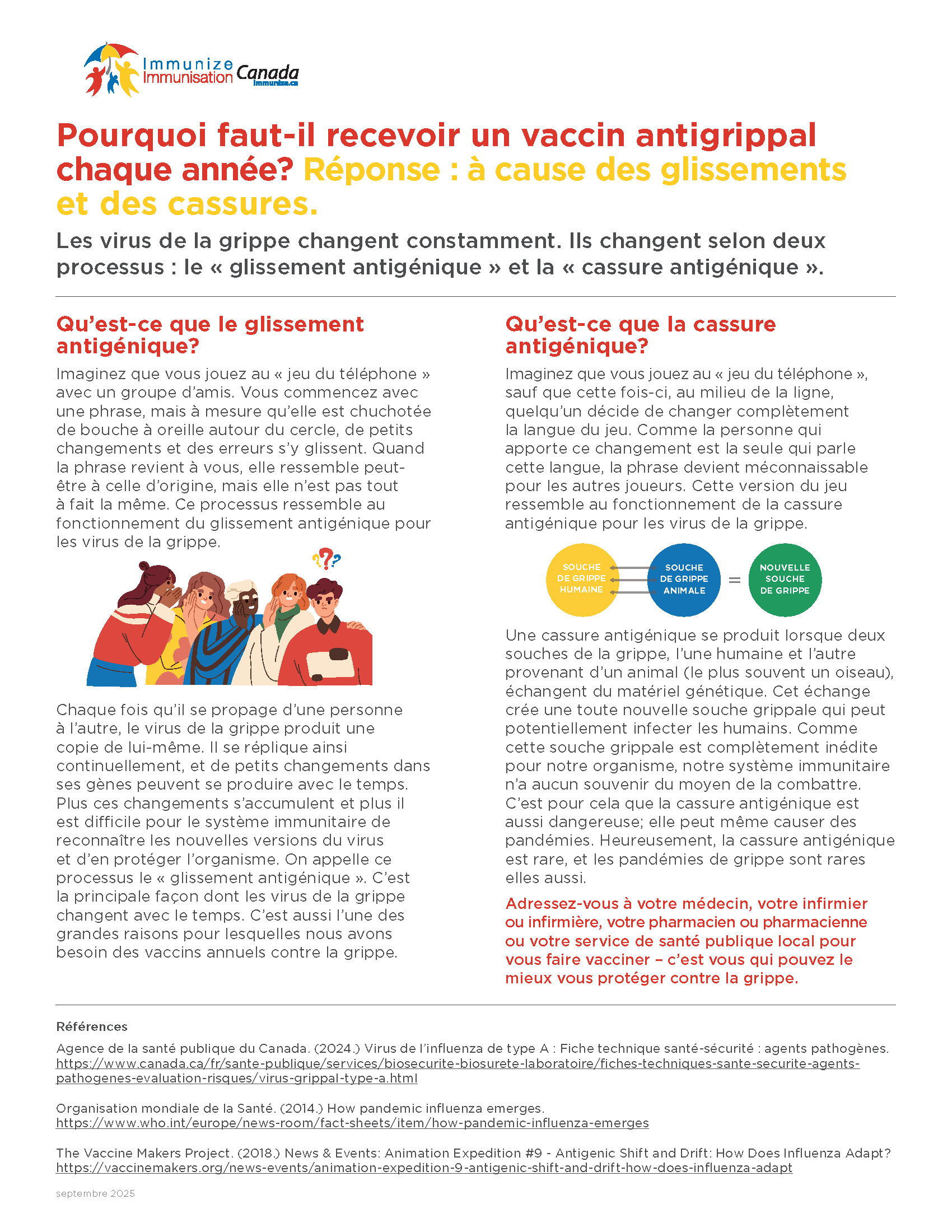 Pourquoi faut-il recevoir le vaccin antigrippal chaque année? Réponse : à cause des glissements et cassures.
