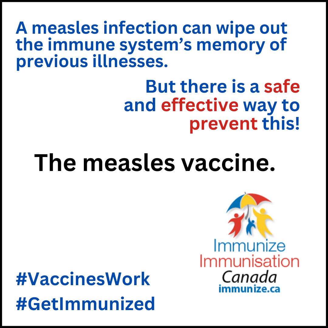 A measles infection can wipe out the immune system's memory of previous illnesses. But there is a safe and effective way to prevent this situation! The measles vaccine.