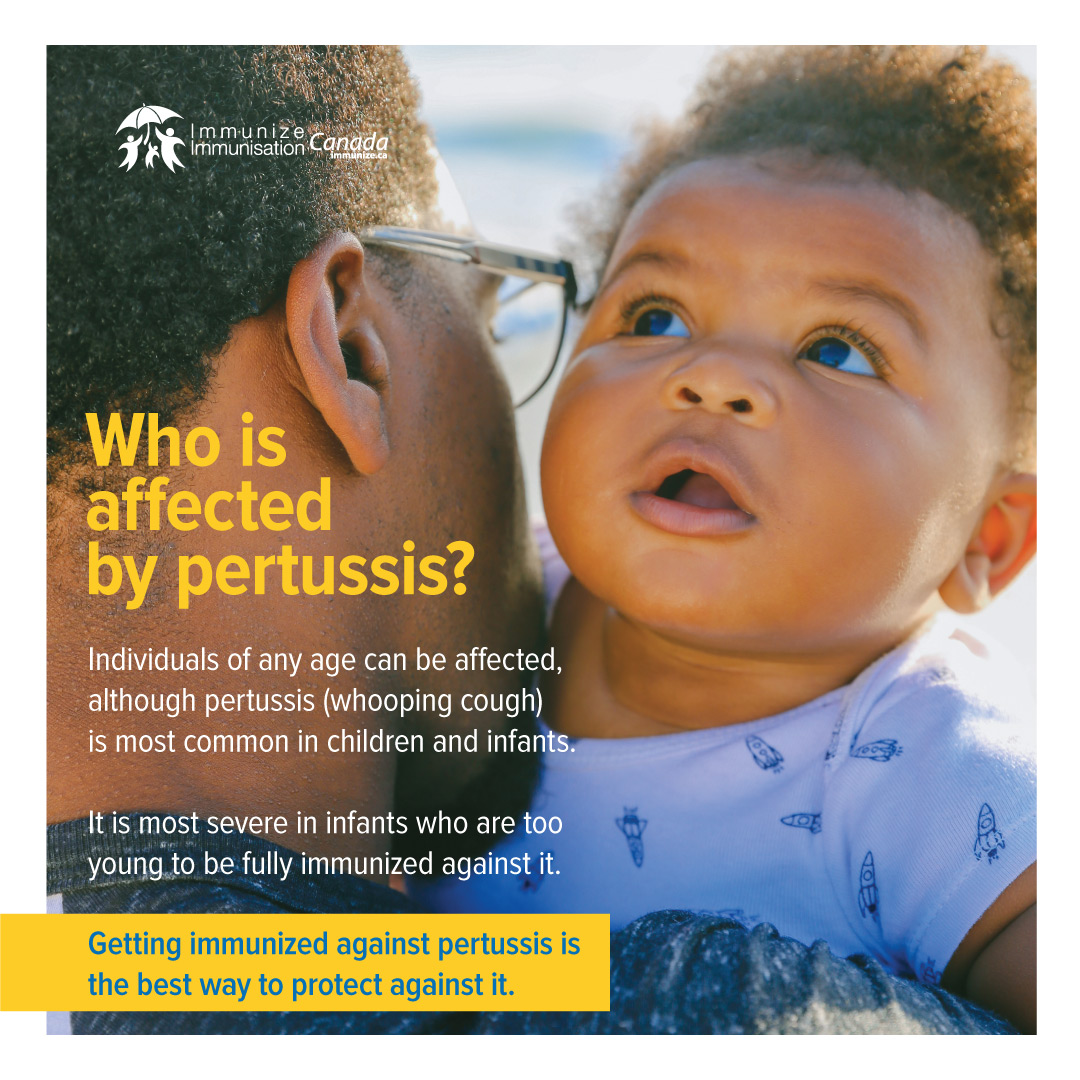 Who is affected by pertussis? (image for Instagram 2)