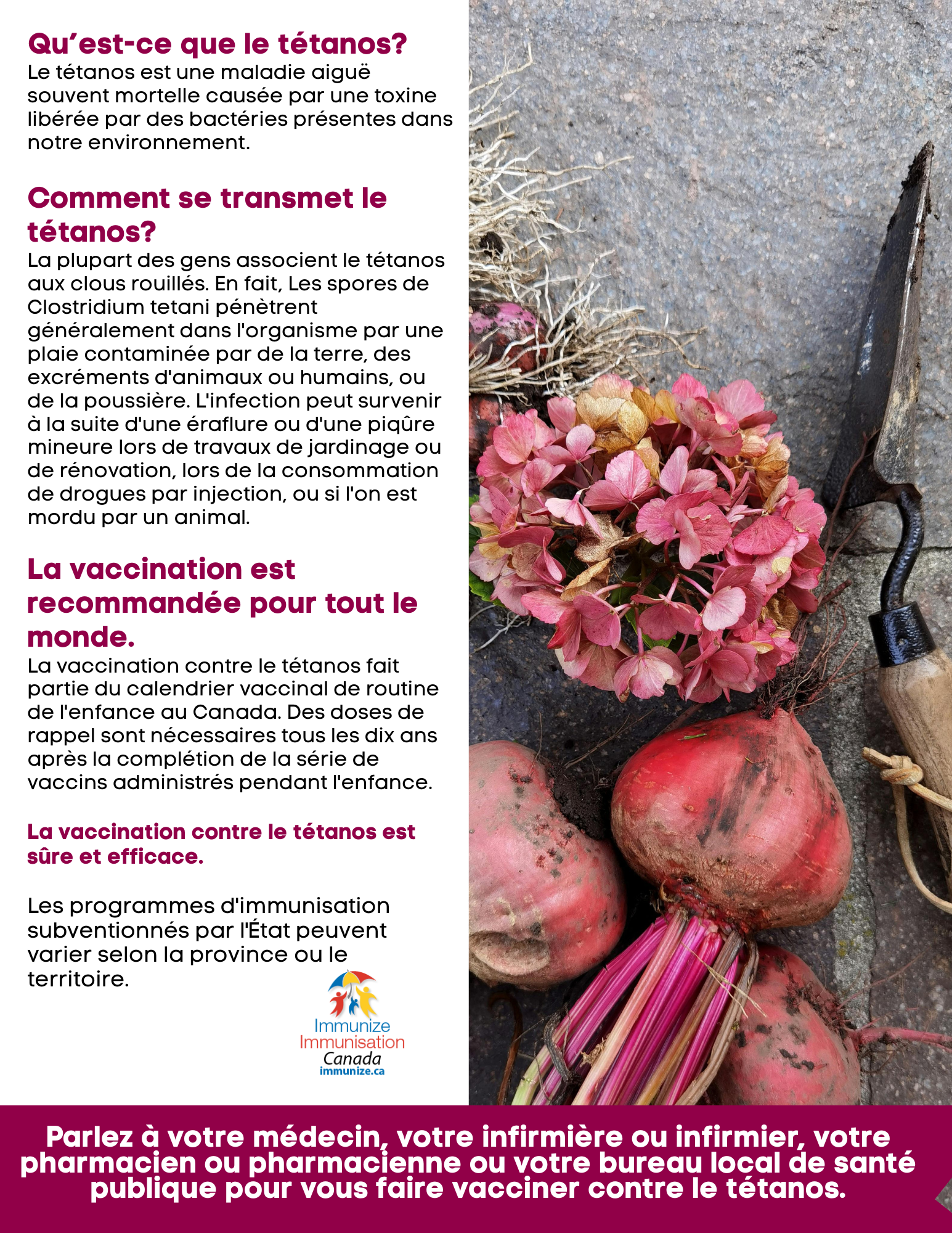 Qu’est-ce que le tétanos? - affiche 4