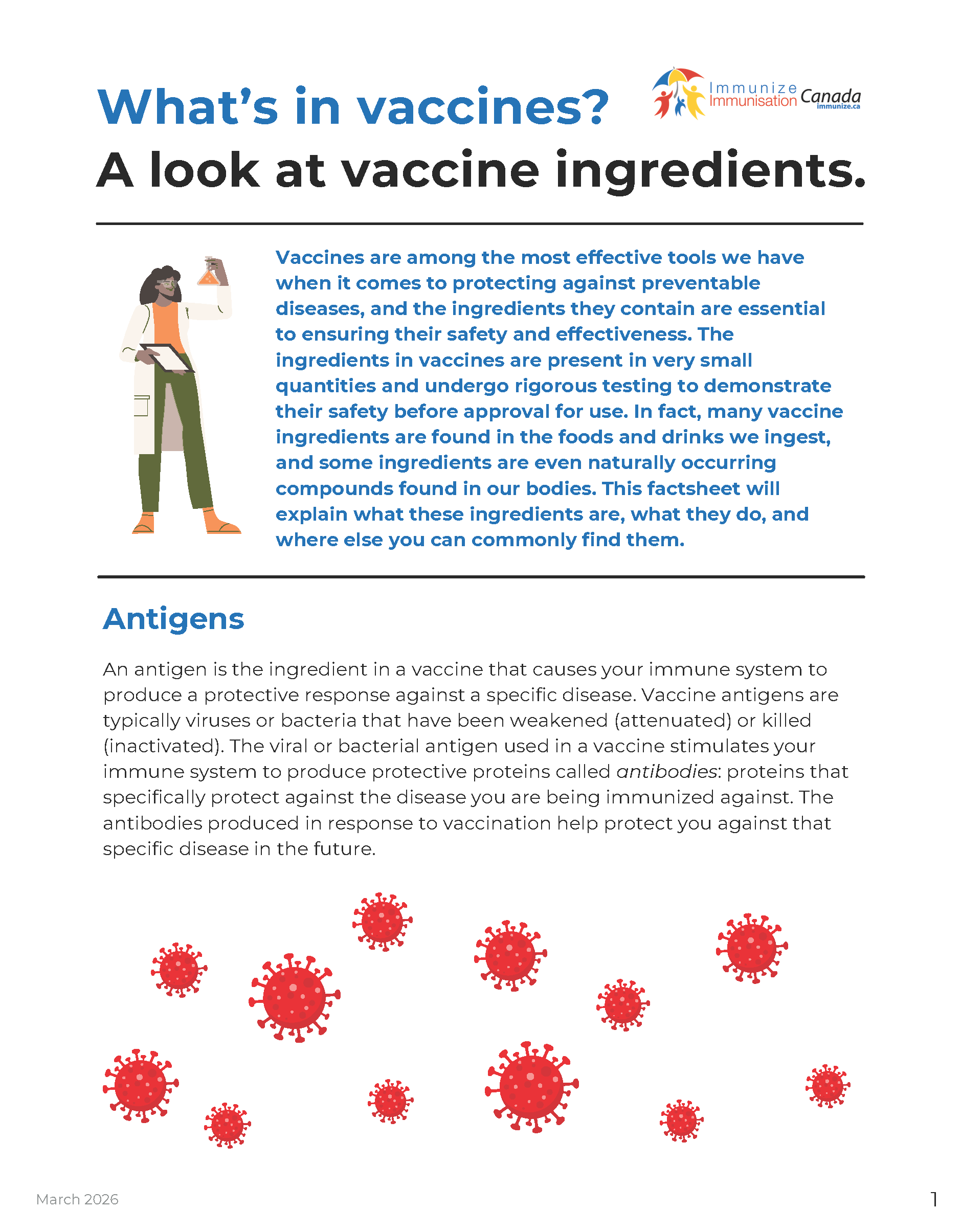 What's in vaccines? A look at vaccine ingredients - factsheet